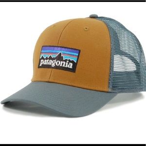 Patagonia hat